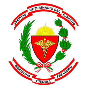 tumb-cologe-svetre-veterinaria
